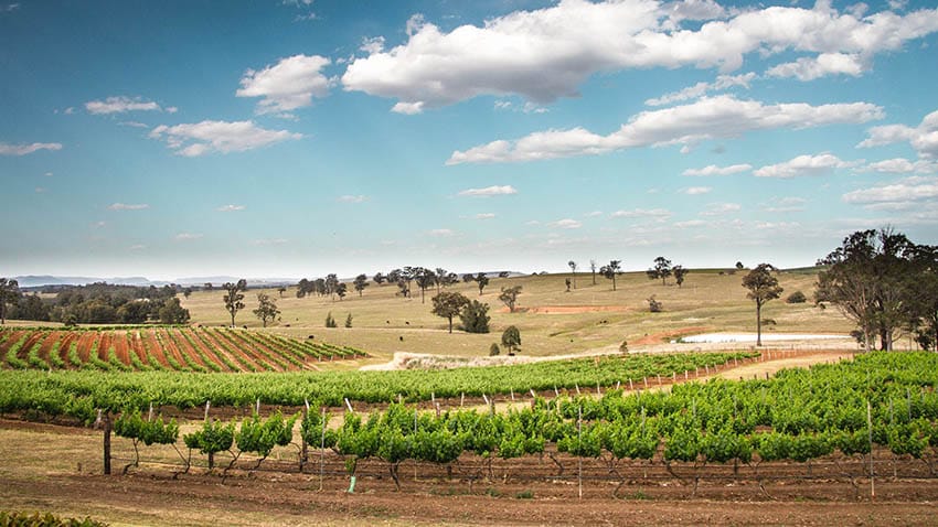 hunter valley Australia