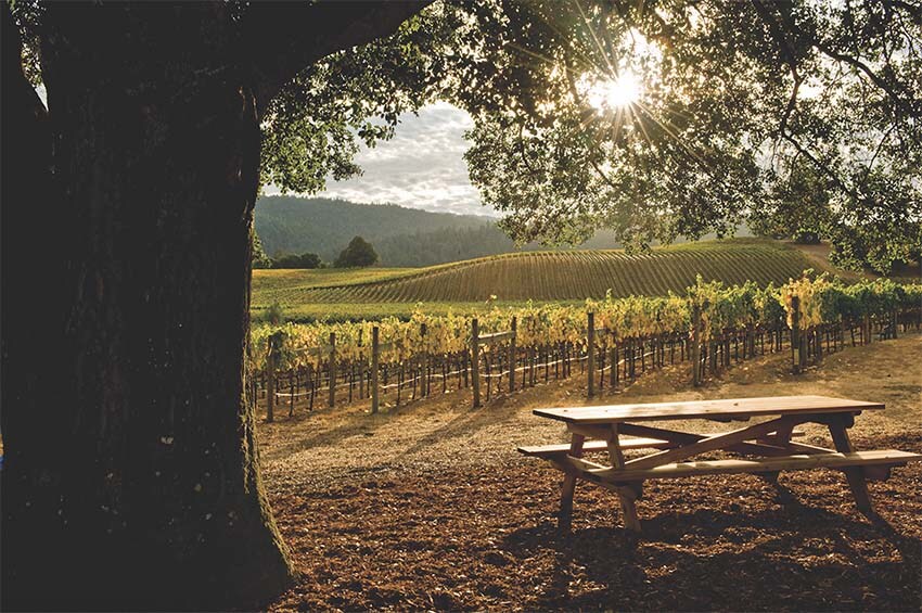 Temecula Valley vineyards