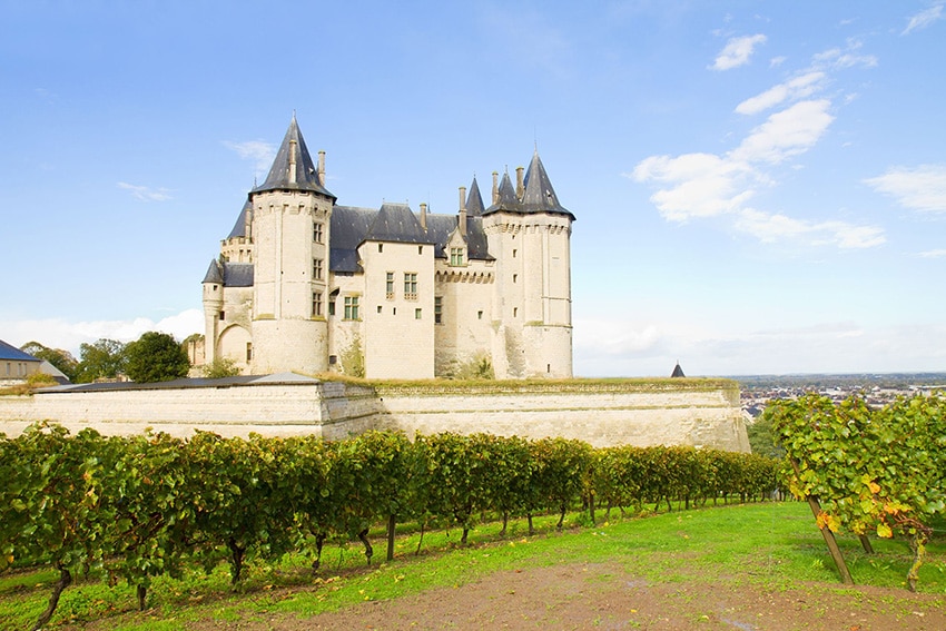 Castillo y viñedos de Saumur en el valle del Loira, Francia.