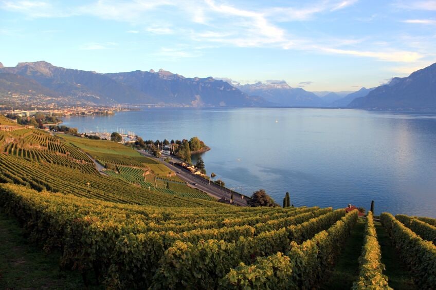 Sustainability in the Australian Wine Industry