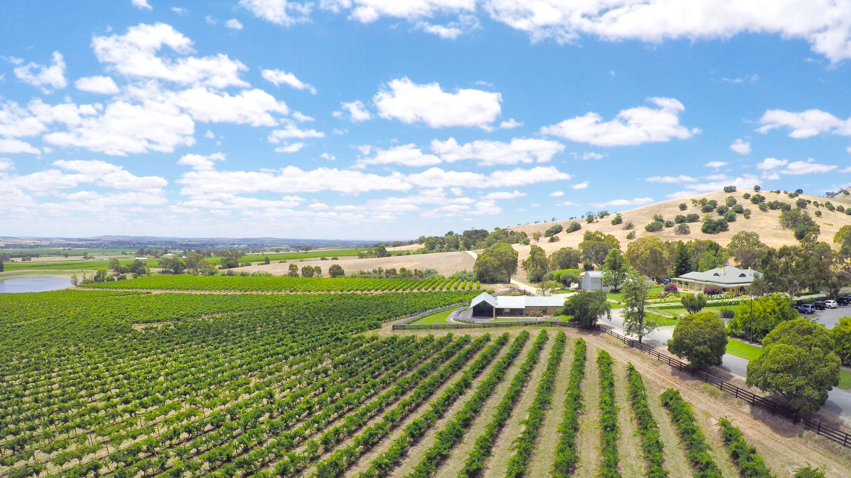 Barossa discount