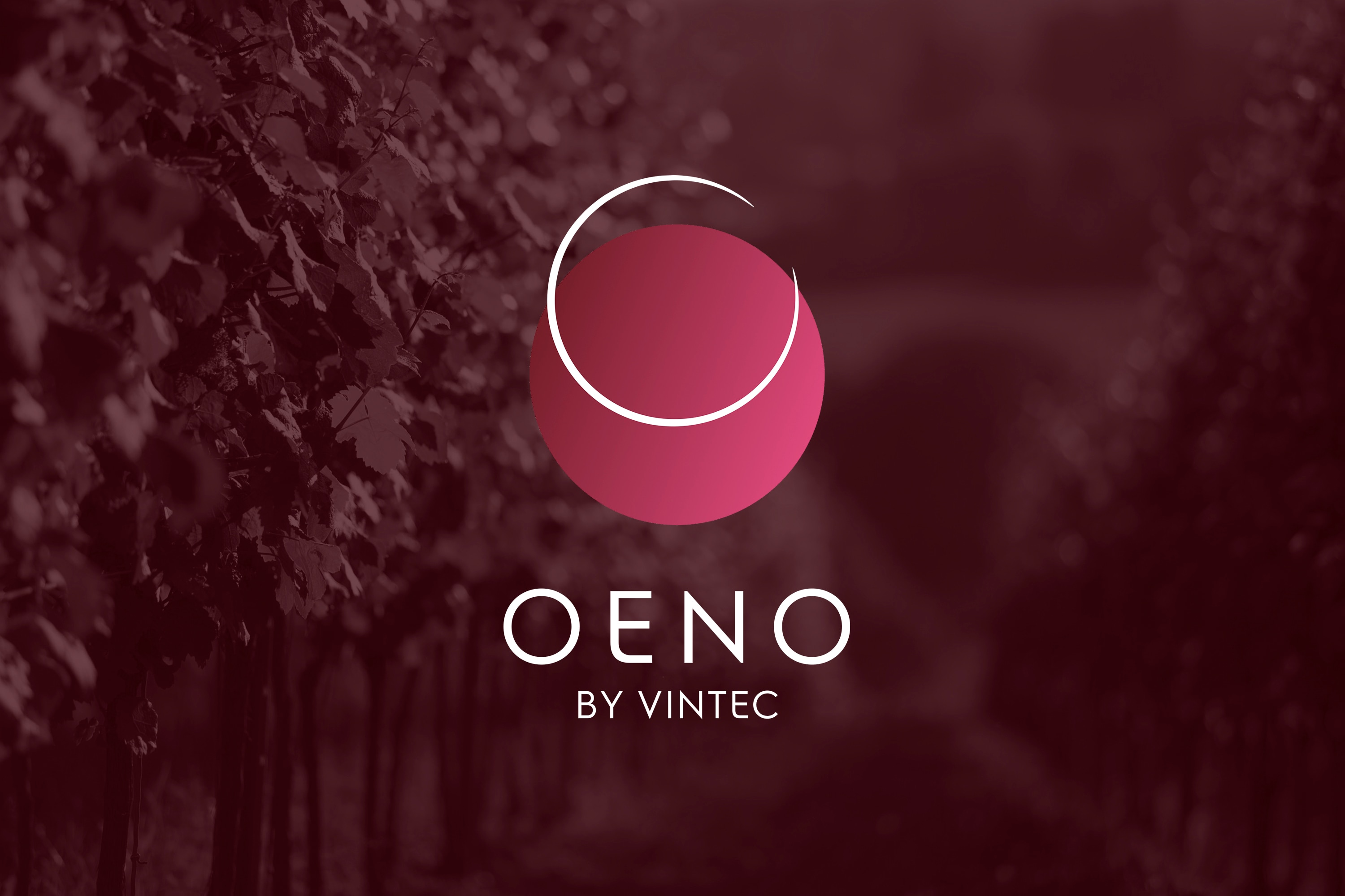 'OENO by Vintec' App Premium Access