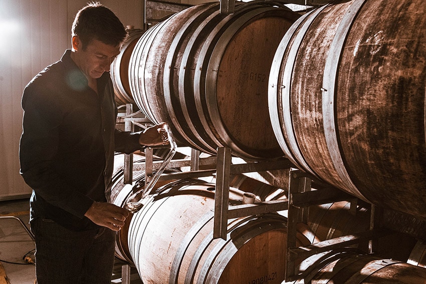 winemaking.villa.maria.jpg