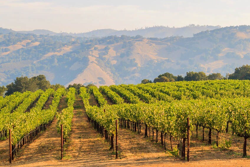 napa valley.jpg