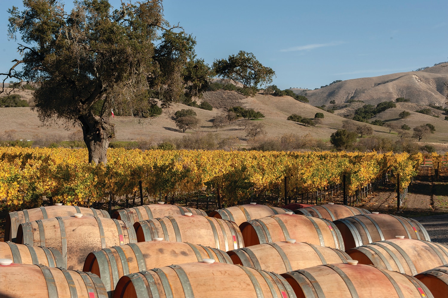 temeculawines california.jpg