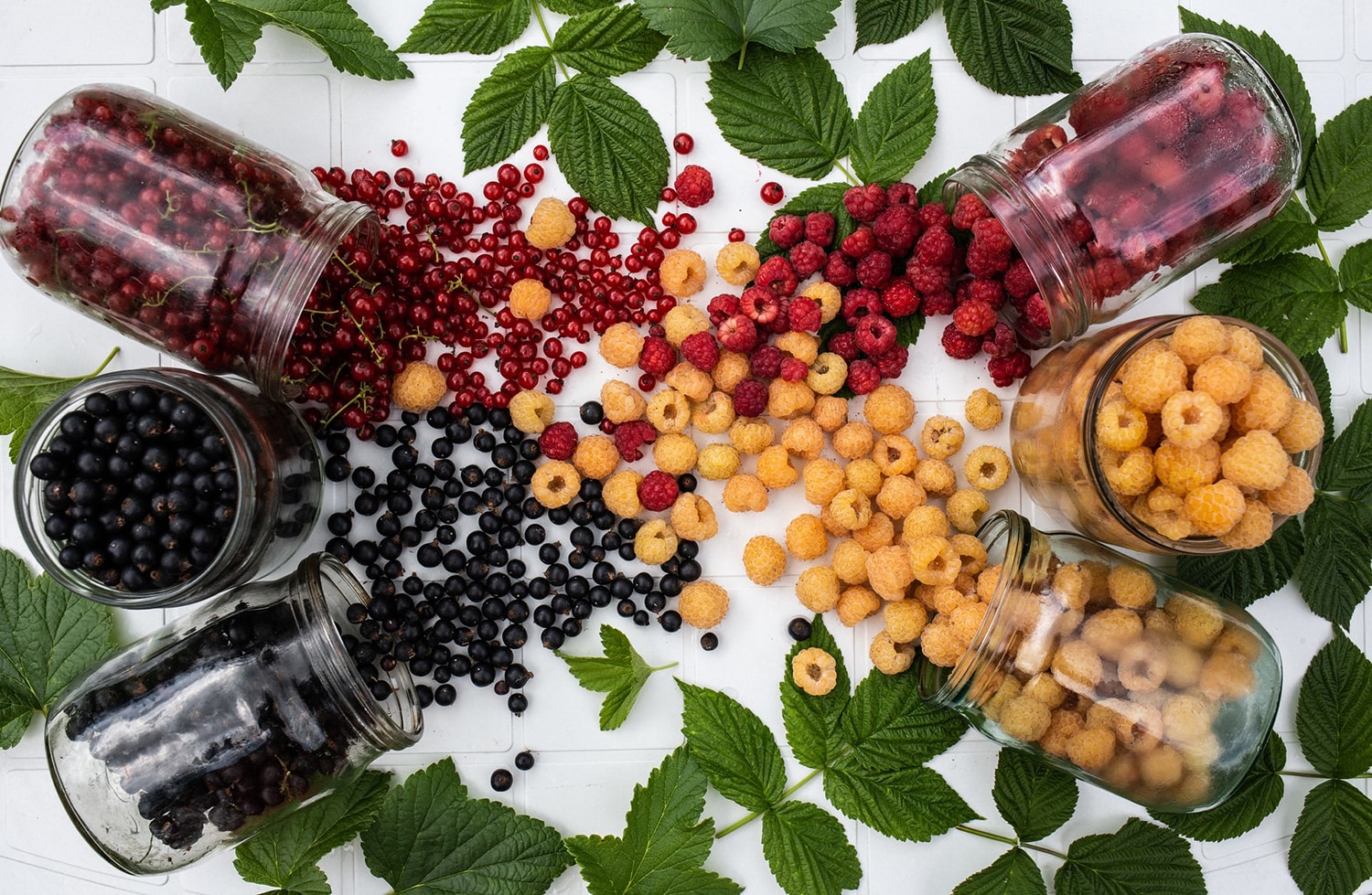 origin of flavors in wine.jpg