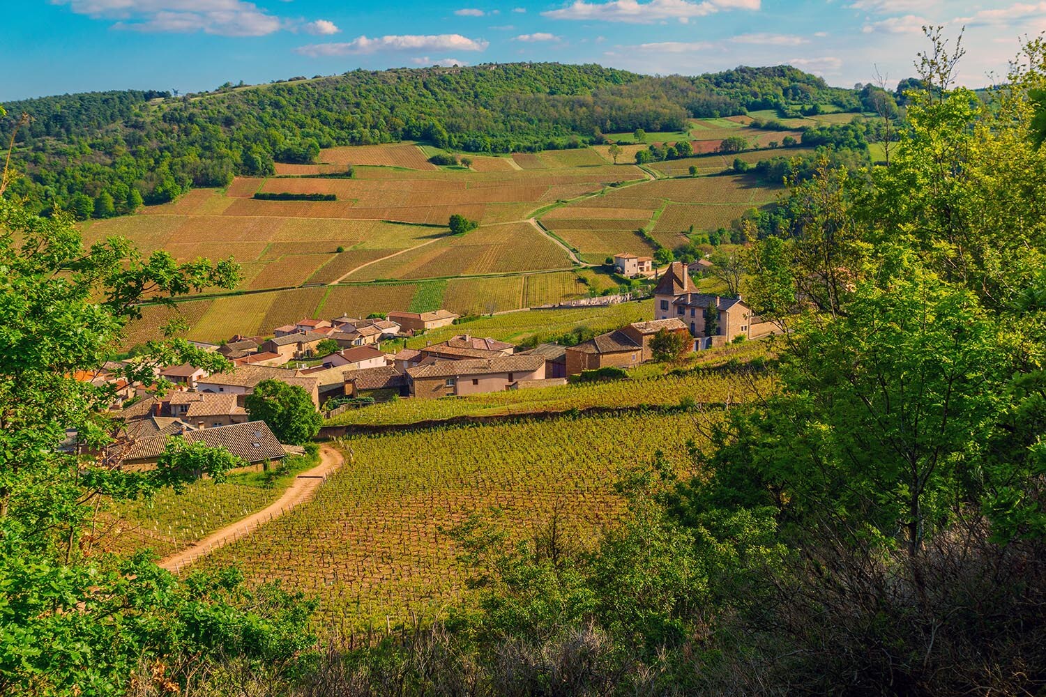 Loire - France_RES.jpg
