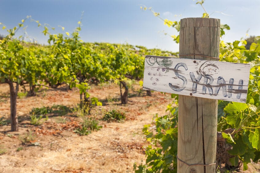 syrah.jpg