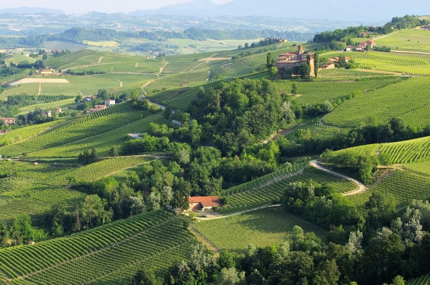 The beautiful landscape of Barolo.jpg