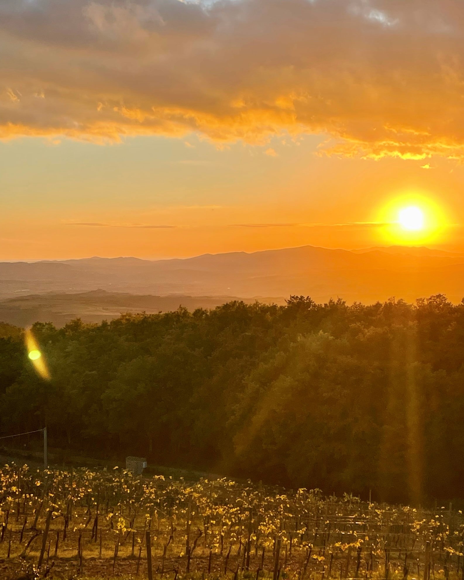 montalcino.jpg