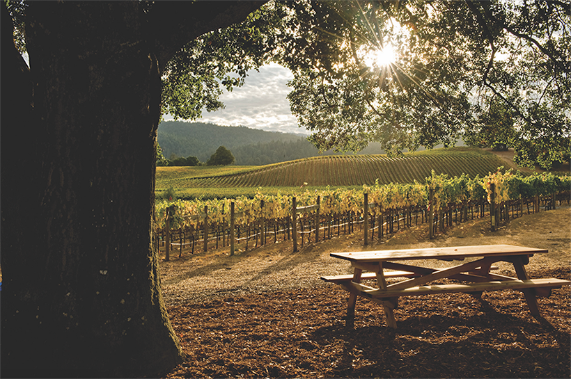 temeculawines california.png