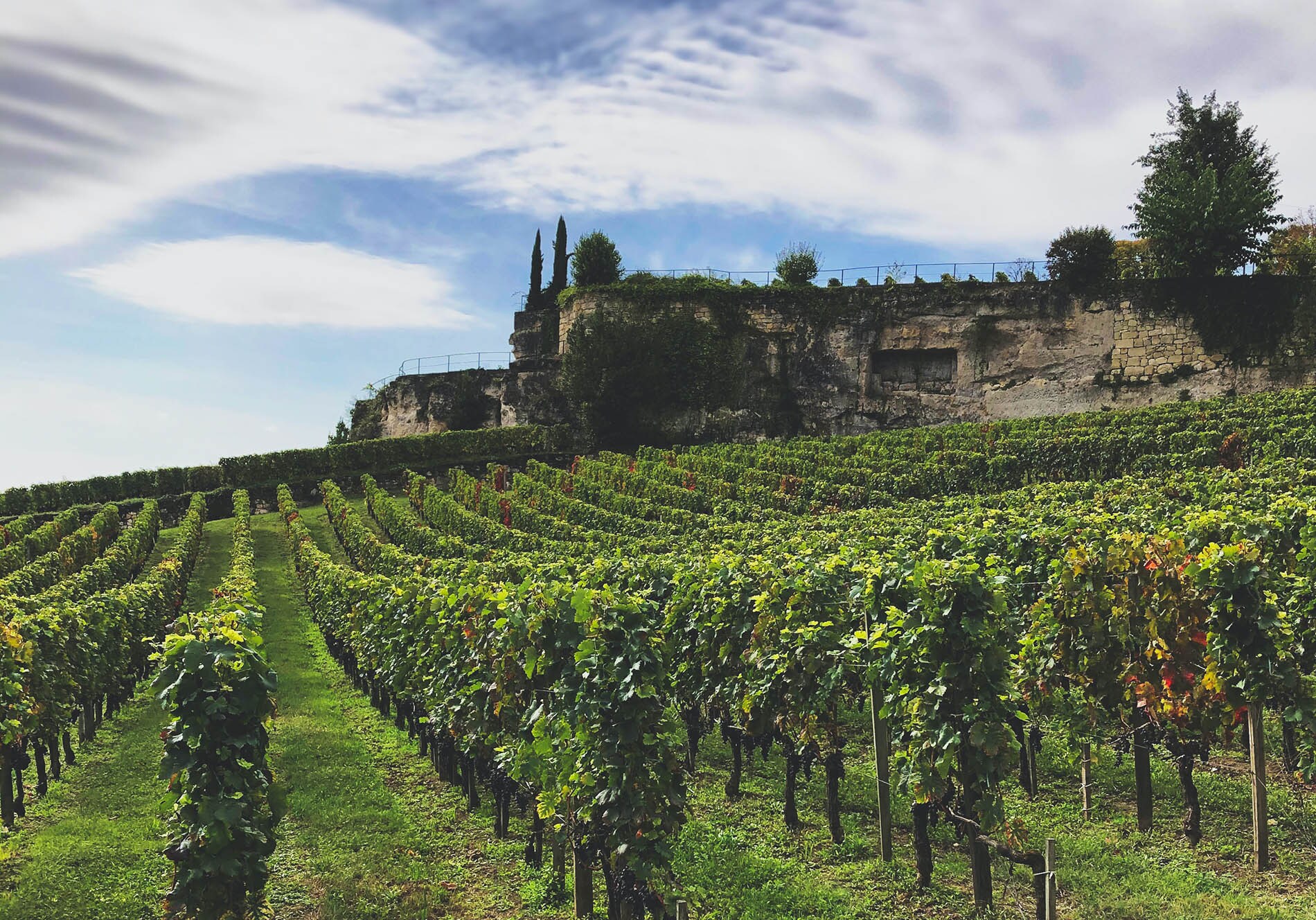 SaintEmilion sigmund-w4Q9l03Qq4o-unsplash_LR.jpg