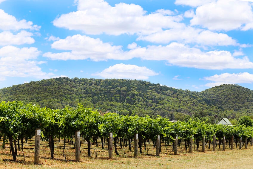 mudgee.jpg