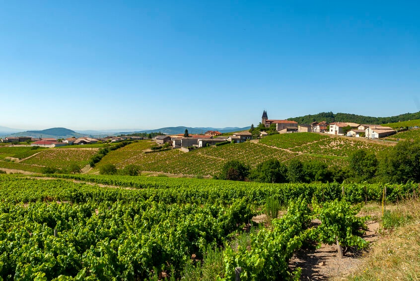 Beaujolais.jpg