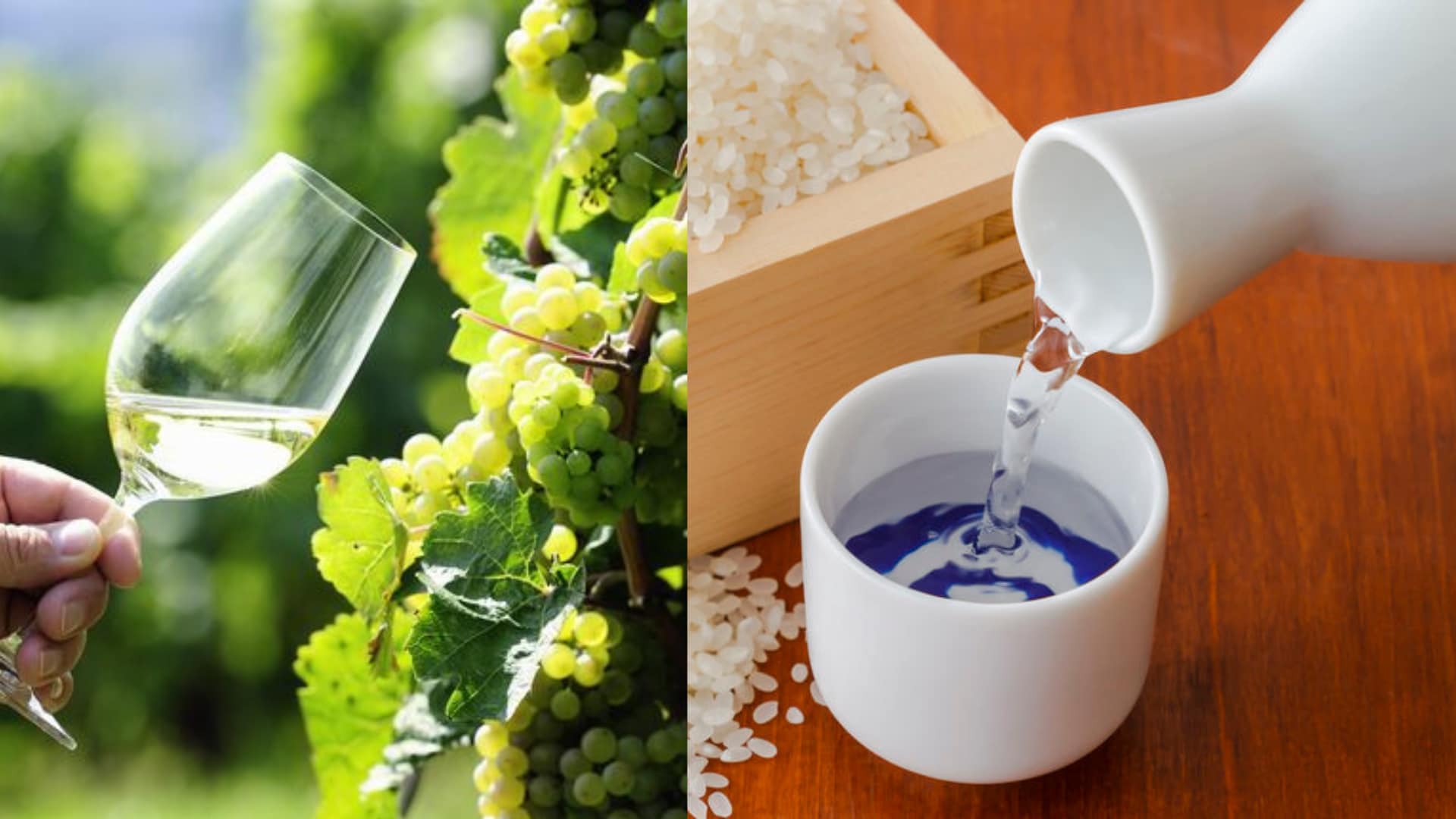 wine and sake.png