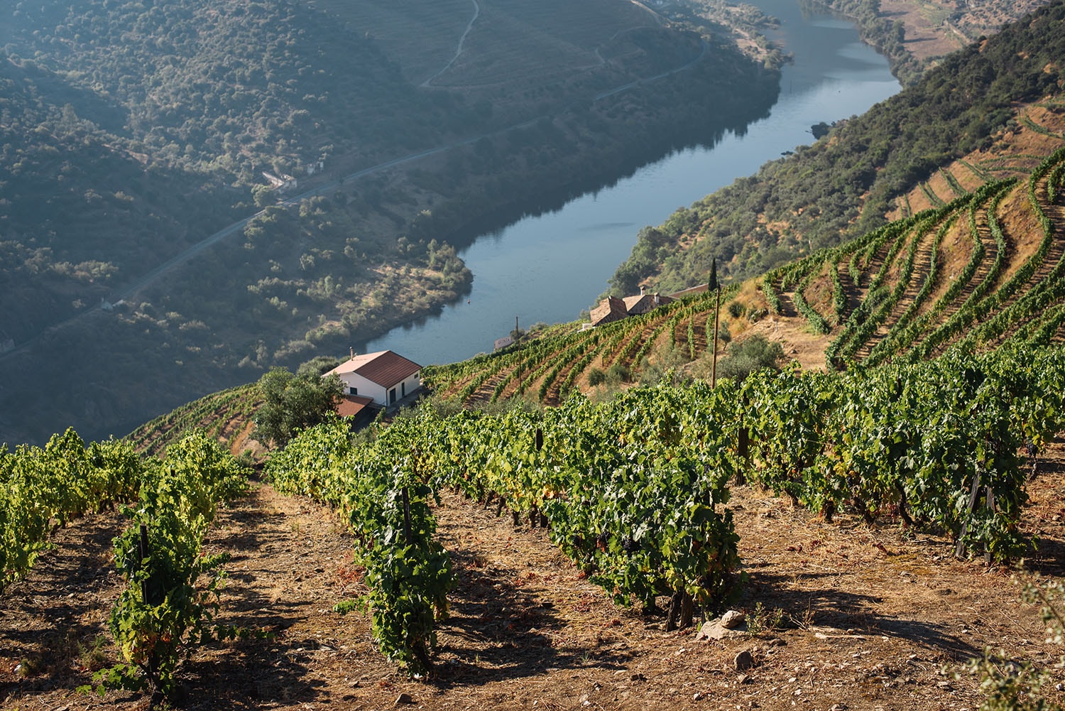 Douro Valley, Portugal_RES.jpg