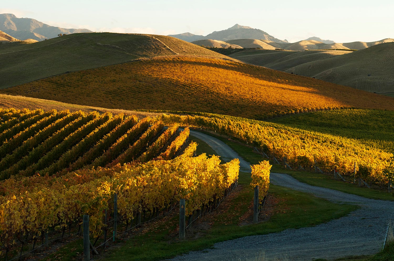 Marlborough.Whitehaven2_lowres.jpg